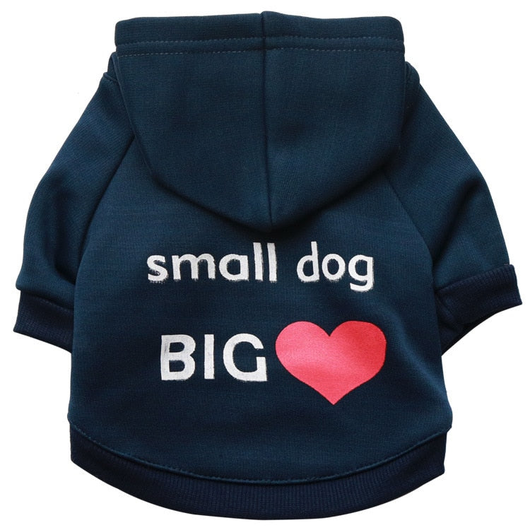 Funny Text Dog Clothes