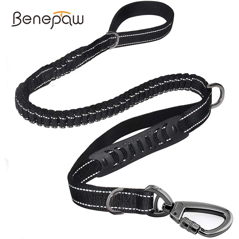 Reflective Dog Leash